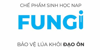 fungi-che-pham-sinh-hoc-bao-ve-lua-khoi-dao-on
