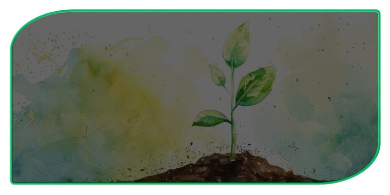 slide-nam-phuong-eco-1