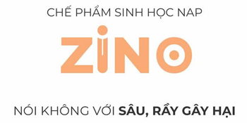 zino-che-pham-sinh-hoc-tri-sau-ray-gay-hai