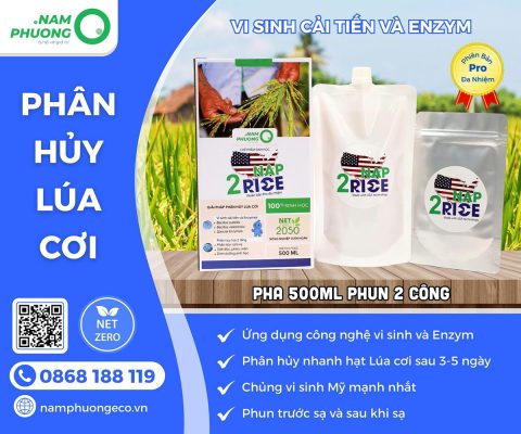 che-pham-sinh-hoc-nap-2rice-pro-da-nhiem-500ml-1