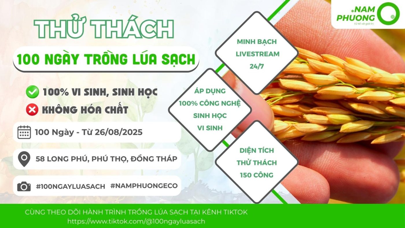 banner-thu-thach-100-ngay-lua-sach
