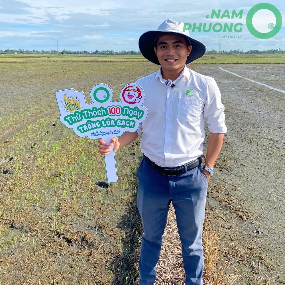 thu-thach-100-ngay-trong-lua-sach-tong-hop-giai-doan-ngay-11-20-2