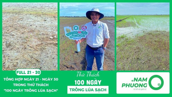 thu-thach-100-ngay-trong-lua-sach-tong-hop-ngay-21-ngay30