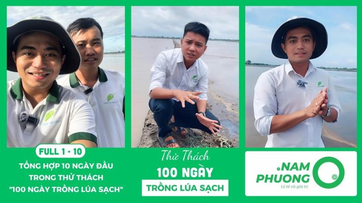 tong-hop-10-ngay-dau-tien-cua-thu-thach-100-ngay-trong-lua-sach